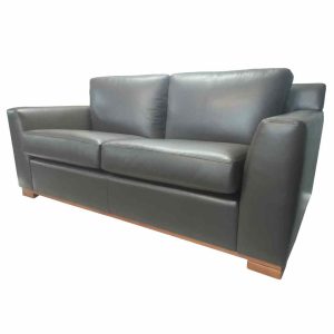 Leather Couch Reupholstery